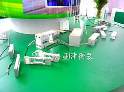 亞津傳感器秤 100t稱重磅與河南模塊秤的計(jì)算機(jī)軟硬件技術(shù)開發(fā)